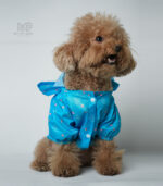 بارانی سگ و گربه مدل rainy paws - Image 6
