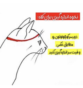 راهنمای امدازه کلاه سگ و گربه