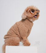 لباس سگ و گربه پلیور تدی fluffy - Image 2